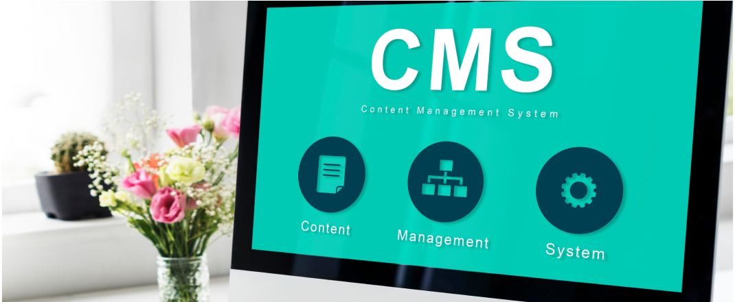 CMS Development